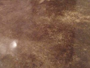 Stained Concrete Floor Dallas